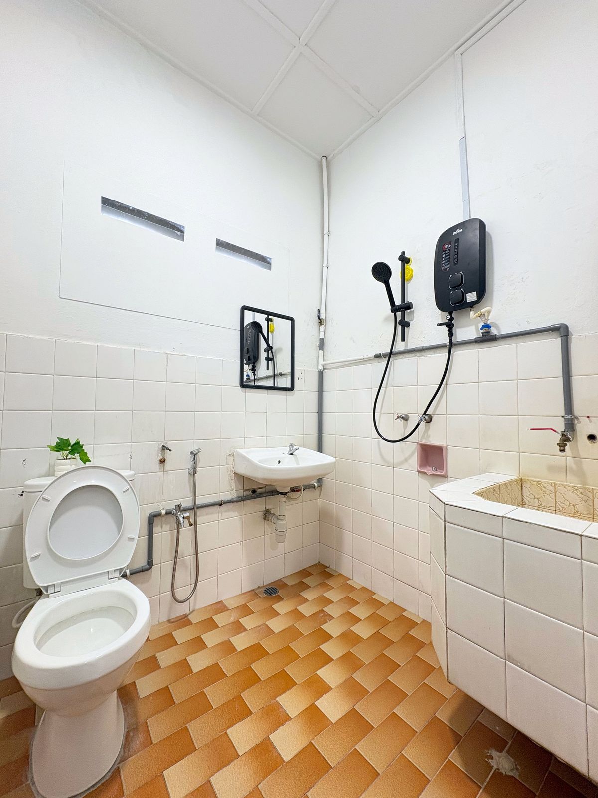 Shared bathroom with toilet, basin, shower heater, and wash area